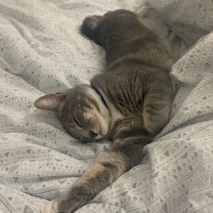 Meet your Posher, Wendy